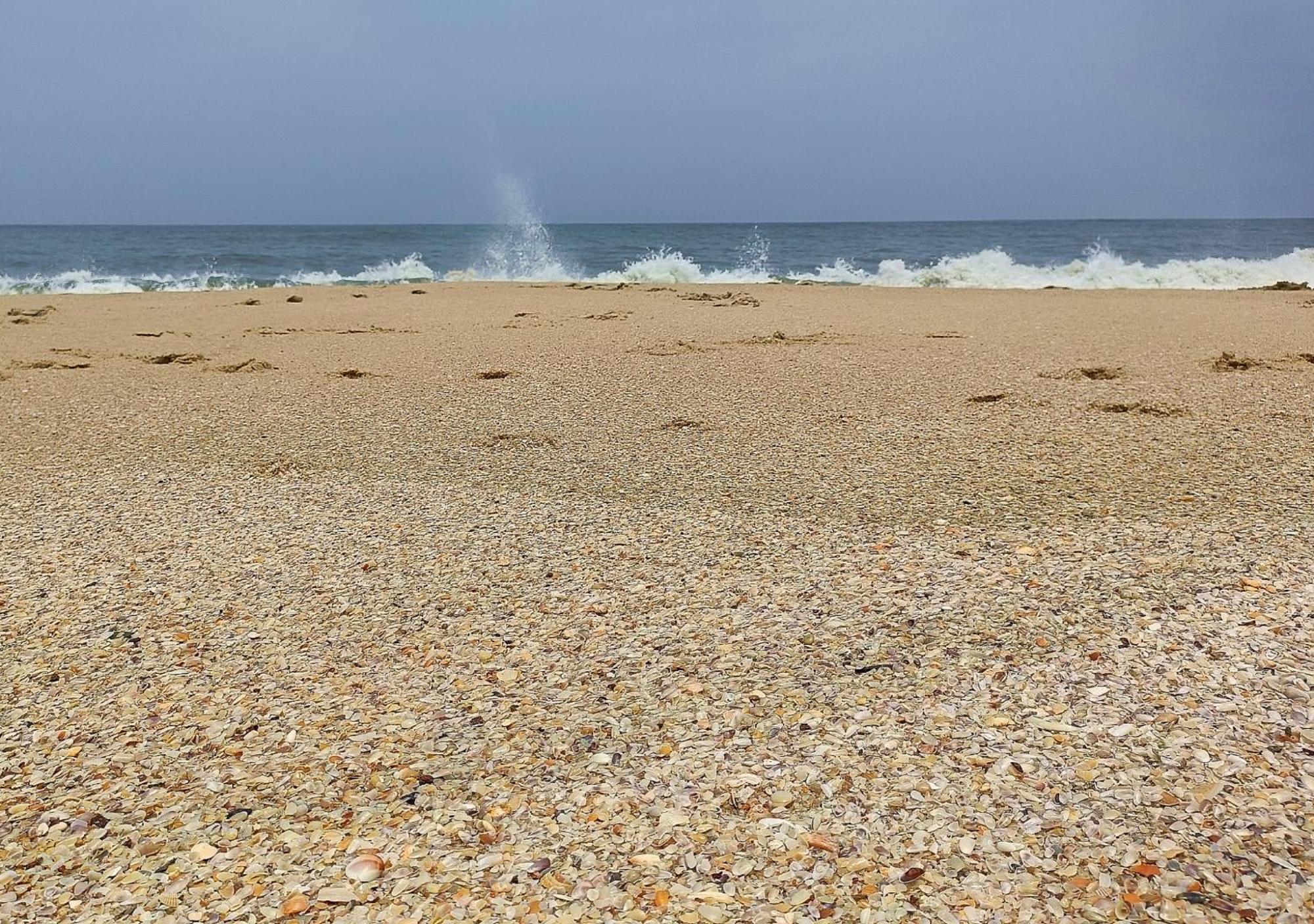 מאראריקולם Marari Beach Cleetus Homestay מראה חיצוני תמונה